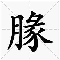 腞念什么字