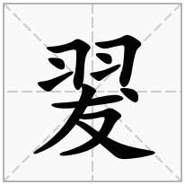 翇念什么字