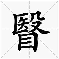 瞖念什么字