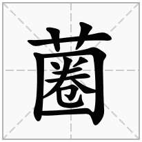 蔨念什么字