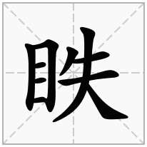 眣念什么字