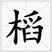 槄念什么字