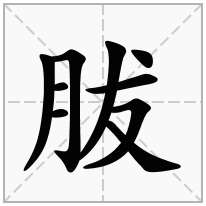 胈念什么字