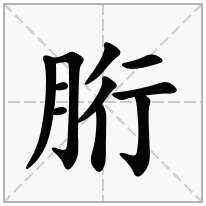 胻念什么字