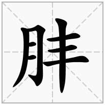 肨念什么字