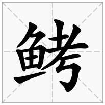 鲓念什么字