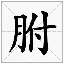 胕念什么字