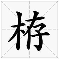 栫念什么字