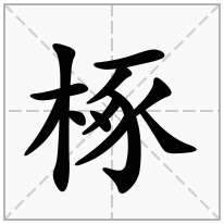 椓念什么字