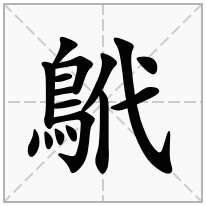 鴏念什么字