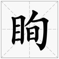 眴念什么字