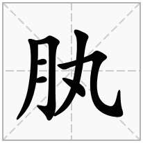 肒念什么字