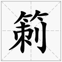 箣念什么字