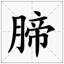 腣念什么字