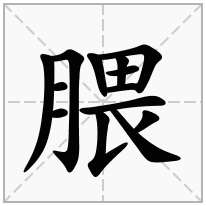 腲念什么字