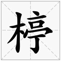 楟念什么字