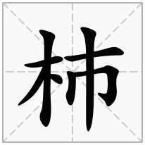 杮念什么字