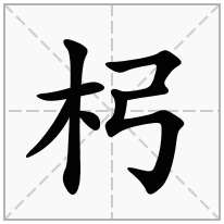 杛念什么字