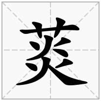 菼念什么字