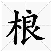 桹念什么字