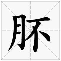 肧念什么字