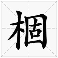 棝念什么字