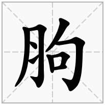 胊念什么字