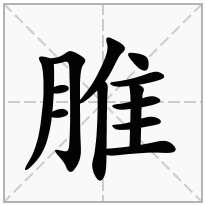 脽念什么字