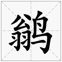 鹟念什么字