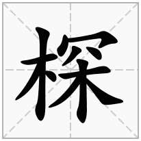 棎念什么字