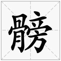 髈念什么字