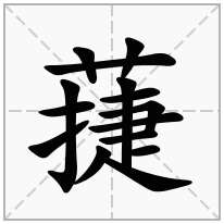 蓵念什么字