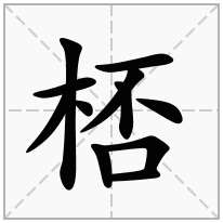 桮念什么字