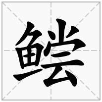 鲿念什么字