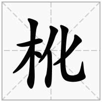 杹念什么字