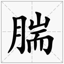 腨念什么字