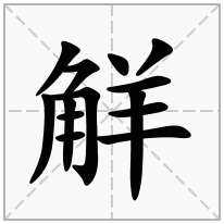 觧念什么字