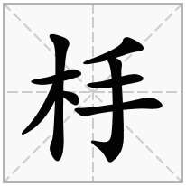 杽念什么字